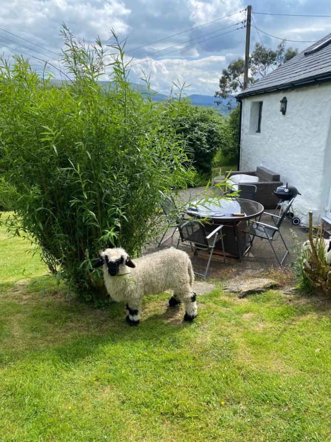 Fron Goch Cottage Dolwyddelan Exterior foto